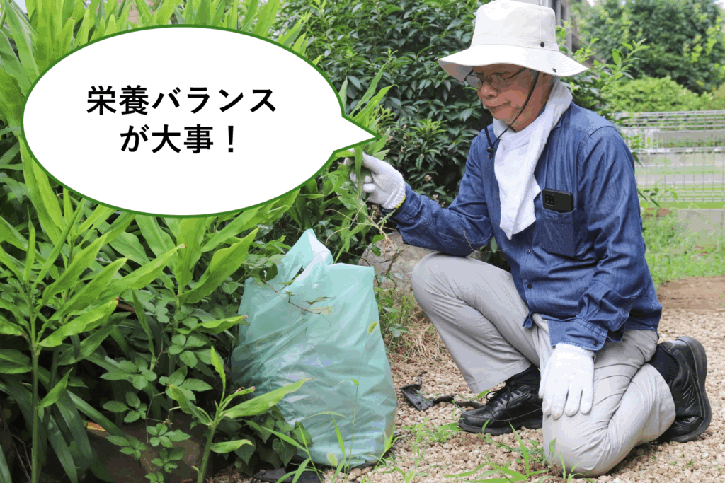 認知症予防に効果的な食事のポイントとは